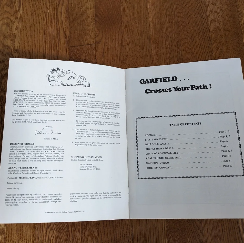 Garfield counted cross stitch designs vintage booklet 8 designs Millcraft